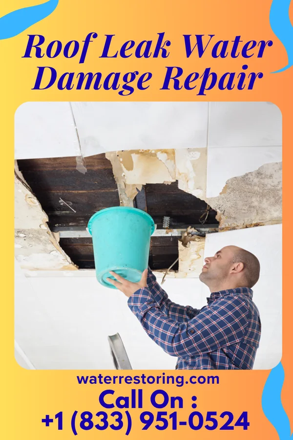 Roof Leak Water Damage Repair in Marietta, TX